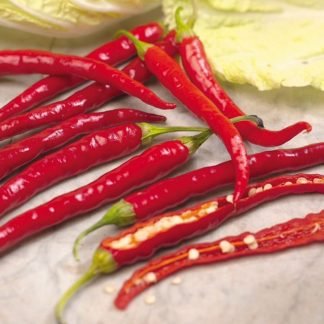 Capsicum Cayenne Seeds - Seed Shop Pakistan