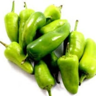 Chili F1 Hybrid Bold Green Seeds - SeedShop