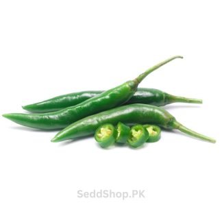 Dark Green Chili Seeds - SeedShop.PK