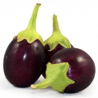 Eggplant Hybrid F1 Blackish Purple - SeedShop.PK