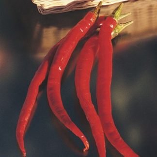 Hot Pepper Seeds High Production - SeedShop.PK