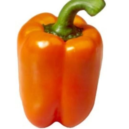 Orange Bell Pepper Seeds - Seed Shop