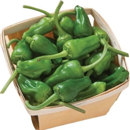 Padron Pepper Seeds - Image 2