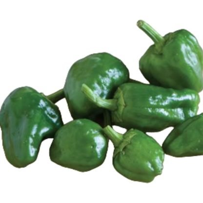 Padron Pepper Seeds - Seed Shop Pakistan (3)