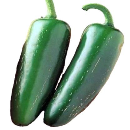 Pepper Jalapeno F1 Seeds - Seed Shop Pakistan