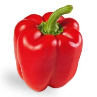 Red Bell Pepper Seeds