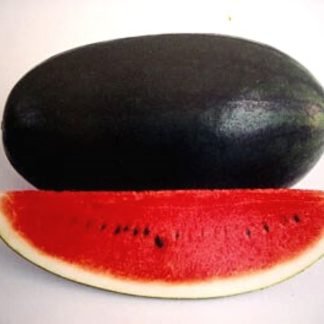 Watermelon Seeds Long Hybrid F1 - SeedShop.PK