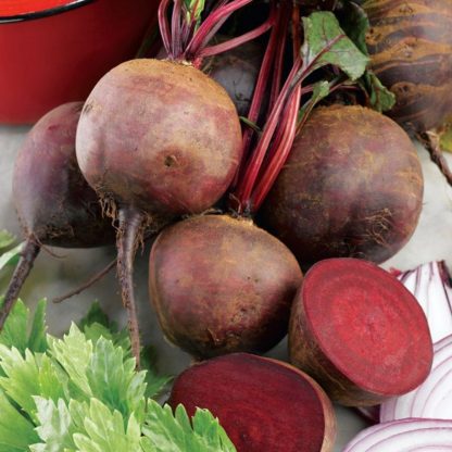 Beetroots Seeds - SeedShop.PK