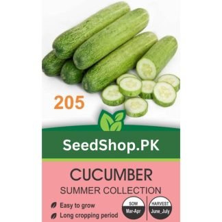 Cucumber Desi Seeds Open Pollinated - SeedShop.PK