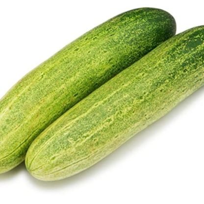 Cucumbers Light Green Seeds F1 Hybrid - SeedShop.PK