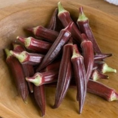 Okra Red Burgundy Seeds - SeedShop.PK