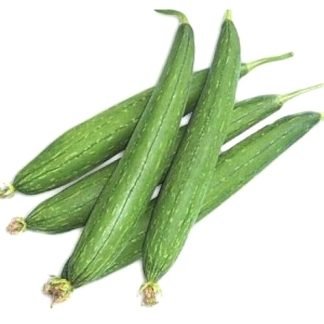 Sponge Gourd Seeds - SeedShop.PK