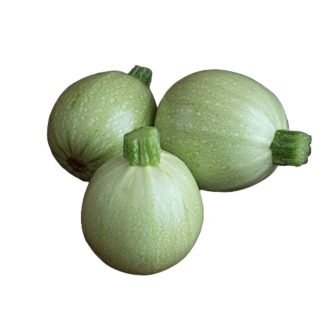 Squash Round Shape Desi Seeds - SeedShop.PK