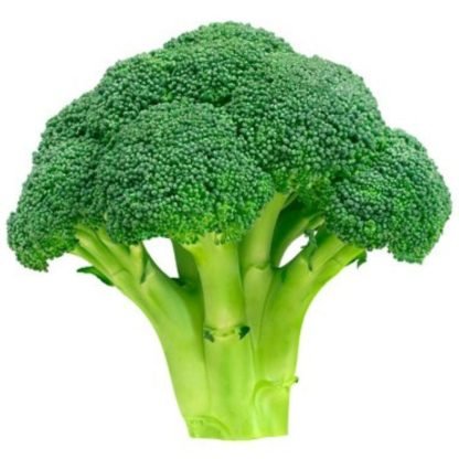 Broccoli Hybrid Seeds F1 - SeedShop.PK