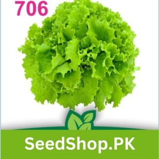 Lettuce Seed Op - SeedShop.PK