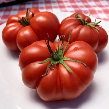 Marmande Heirloom Tomato Seeds - SeedShop (2)