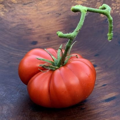 Marmande Heirloom Tomato Seeds - SeedShop (3)