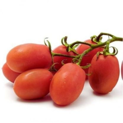 Rio Grande Tomato Seeds - SeedShop.PK