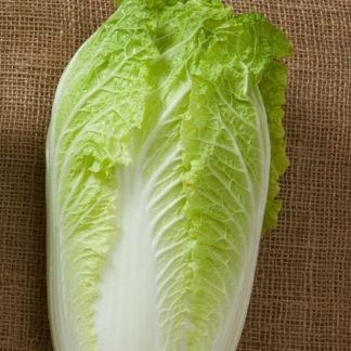 Chinese Cabbage Seeds (1)