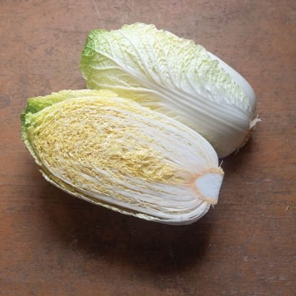 Chinese Cabbage Seeds (4)